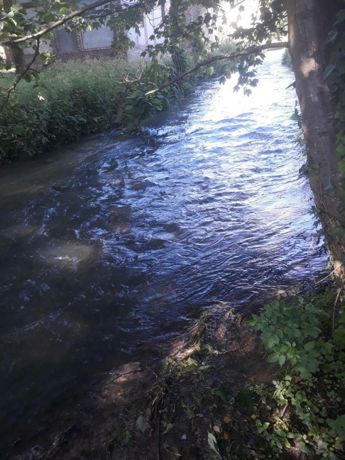 Gite Au Bord Du Lac Montville Exteriör bild